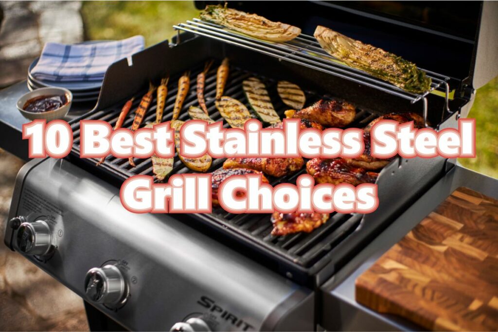 10 Best Stainless Steel Grill Choices To Consider Purchasing